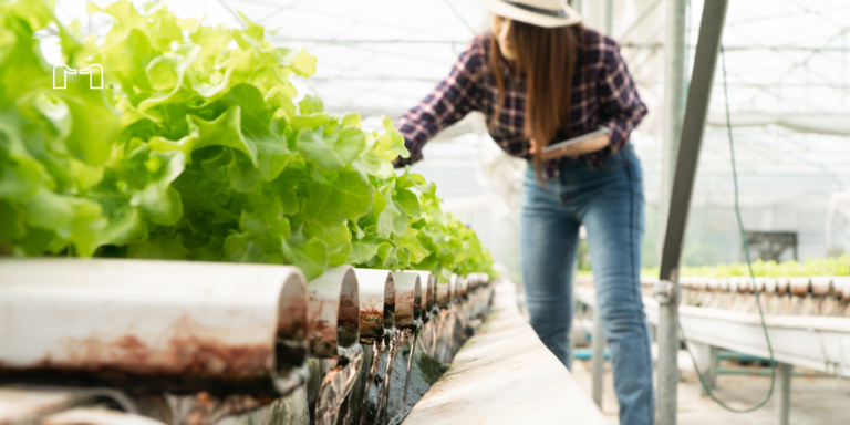 “La Acuaponía: El Futuro de la Agricultura Sostenible”